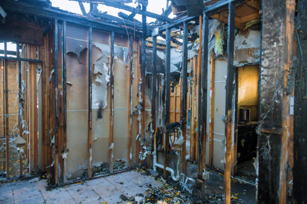 Professional Smoke Damage Removal technician working in Woodinville, WA