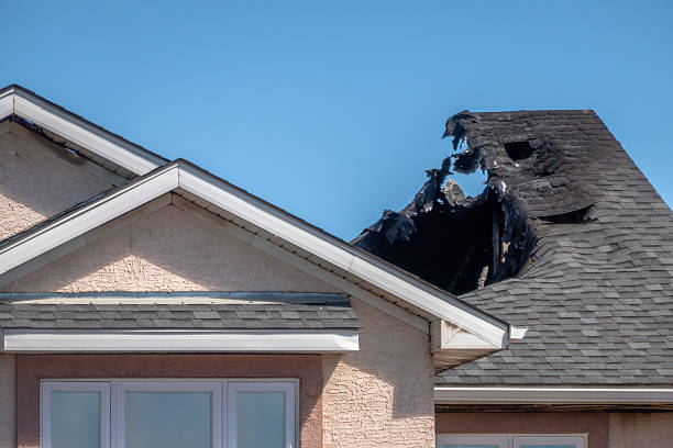 Top rated local Smoke Damage Removal specialists in Woodinville, WA
